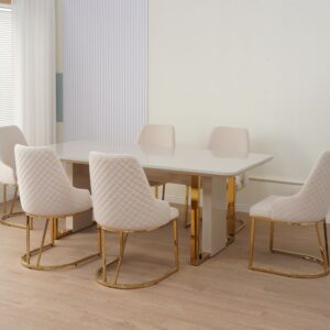 DT2509 TABLE + DC2509 CHAIR