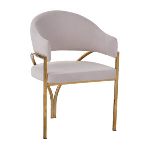 527 DINNING CHAIR